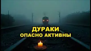 Дураки опасно активны | Почему они у власти?
