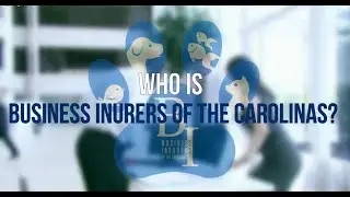 Who Is Business Insurers of the Carolinas? | Insurance For Pet Sitters And More! | Pet Sitting