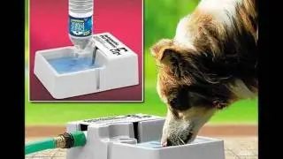 Desoto Animal Rescue Society's Ruth Ann Hale's Hot Weather Tips