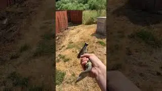 Zombie apocalypse weapon/tool ￼