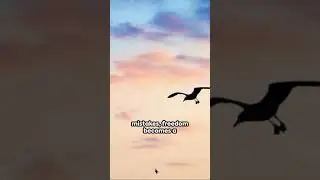 Freedom & Mistakes: A Nature's Perspective