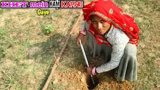 Khet mein kam karne🥀!! Gaye || kaun sa kam 💘 #ajaypalpinkivlog 🥰#Ajaypalpinkivideo #vlog 