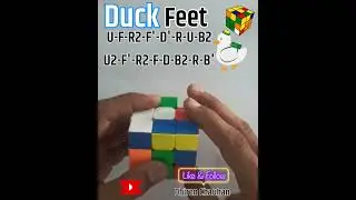 Duck Feet Pattern (U-F-R2-F'-D'-R-U-B2-U2-F'-R2-F-D-B2-R-B')