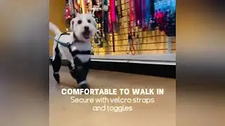 Protect your dog's paws from the elements! 💥 Suspender Boots For Dogs
