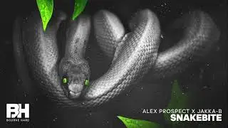 Alex Prospect & Jakka B - Snakebite