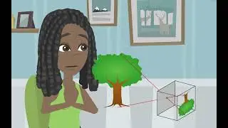 Elementary Science Class 6: Light, Shadows and Reflections
