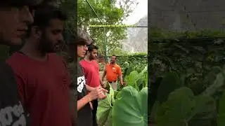 Organic farming at Solluna Resort with Arun Kumar | Jim Corbett