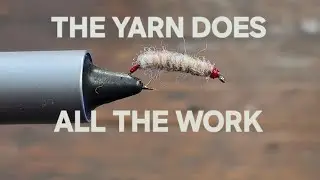 Tying the Killer Bug - An Insanely Effective Fly
