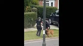 UK Armed Response