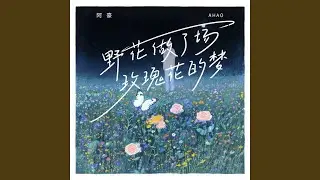 野花做了场玫瑰花的梦 (DJ九零版伴奏)