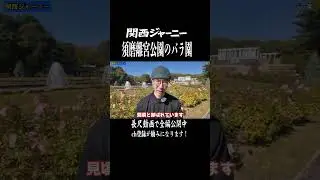 【観光】王侯貴族のバラ園とは？須磨離宮公園の見どころ #神戸 #shorts