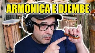 Armonica e Djembe: entra nella tribù del ritmo (blues)