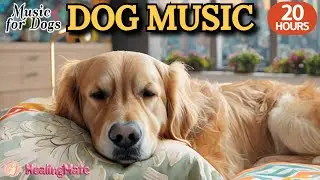 강아지가 좋아하는 음악🐶💖강아지 수면 음악 20시간🐶🎵강아지 안정을 위한 진정 음악🎵분리불안 해소와 스트레스 완화🎵외출할때 출근할때 꼭 틀어주세요 by 힐링메이트