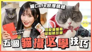 貓 Cafe 貓攝必勝攻略！5 個必學寵物攝影技巧｜鋼鐵直男憑實力單身實錄｜Canon EOS R8 + SELPHY QX20 流動無線打印機試玩