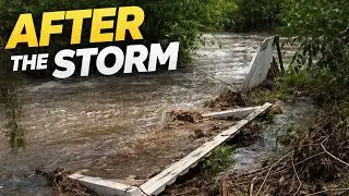 Backyard Reset Ep.1 | Clearing Storm Debris & Lawn Work