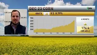 Corn Futures Trading Technical Analysis | RFDTV Interview w/ Oliver Sloup | 4.18.22