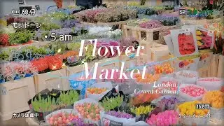 5am in wholesale flower market｜ London Covent Garden