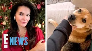 New Details Surrounding Angie Harmon&rsquo;s Dog Being Killed By a Delivery Driver | E! News