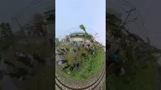 Under this grass is a huge pile of trash #saigonxanh #cleaning #environment #trash #pollution