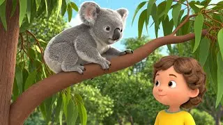O Coala Sonolento Cochilou no Topo da &Aacute;rvore Alta 🐨 | Can&ccedil;&otilde;es Infantis e Rimas para Crian&ccedil;as
