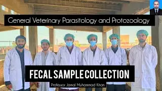 Fecal Sample Collection in Buffaloes | DVM 3rd Semester Practical 
