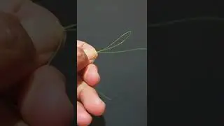 How to Tie a Swivel || Fishing Knots