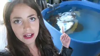 sea turtles rehabilitation center visit in italy!