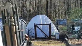 Hoop house Fungus Issue? 🥴