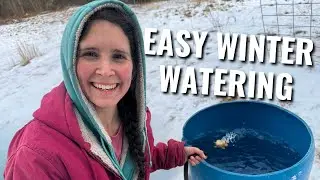 Easy Winter Watering for Livestock | No More Hauling Heavy Buckets!