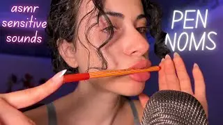 ASMR Mouth Sounds | Pen Noms & Nibbling