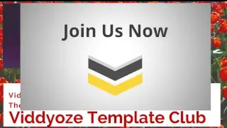 Viddyoze Template Club review|Viddyoze Template Club Best Bonus Bundle