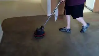 Fast and Easy Carpet Cleaning with the Versatile Oreck Orbiter 550MC