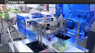 Full Automatic Reciprocating Type Flow Packing Machine for Vegetables