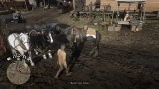 Red Dead Redemption 2 Horse crash