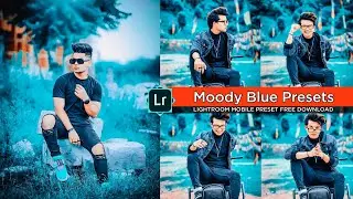 Lightroom Moody Blue Preset | Lightroom Mobile Preset Free Dng | Preset Download Free | Moody Preset