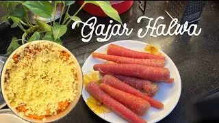 গাজরের হালুয়া / Gajar ka Halwa #gajarkahalwa #quickrecipe #winterspecial 