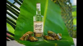 Introducing: Bounty Coconut