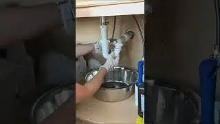 How to Clean a P Trap Under a Clogged Sink #shorts #short