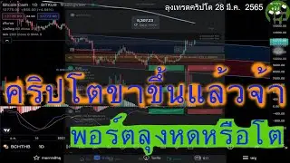 คลิป คริปโตขาขึ้น BTC BCH SIX IOST ดูแนวโน้ม อย่างง่าย โดยใช้กราฟ TradingView
