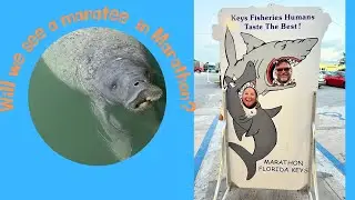 Experiencing Boot Key Harbor in Marathon. Manatees, Please! S2E5