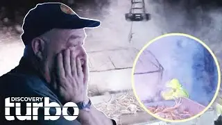 The Wizard Is Forced To Stop Fishing After Stormy Seas Causes Crew Injury | Deadliest Catch