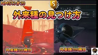 NMS13#20 外来種の見つけ方のポイントです