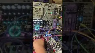 29. Eurorack Modular synth improvisation clip. #euroracksynth #modularsynth