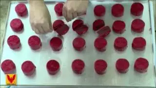 Confectionary & Surimi process by H 500