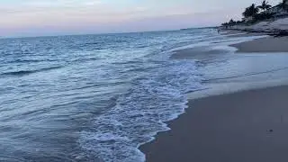 Evening Walk Humiston Park Beach In Vero Beach Florida