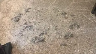 Fast Crunchy Vacuuming + Natural Vac Cleanup (Read Description)❣️🗣
