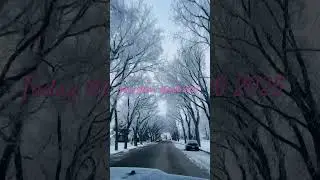 Frostied Trees #beautiful #nature  #winter  #season
