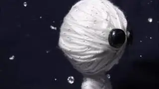 On Constellation Street (Animated Music Video)