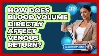 How Does Blood Volume Directly Affect Venous Return?