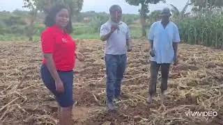 Insight From Agronomist Part1&2
